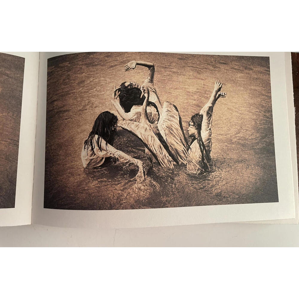 Ashes and Snow Santa Monica Pier Exhibition Catalogue 2005 - Picture 8 of 9